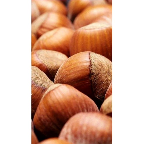 Giresun Kabuklu Fındık  1KG